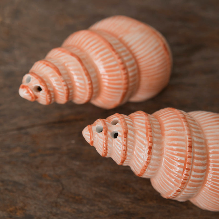 Set Salero Pimentero Conchas