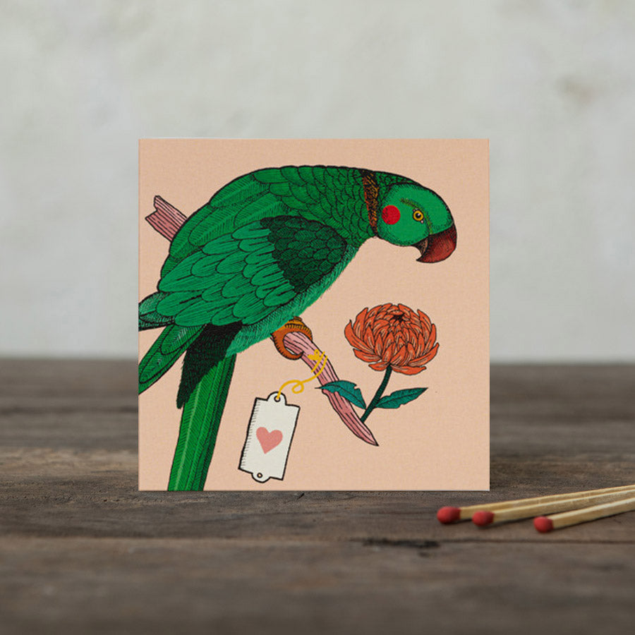 Cerillas Ariane´s Parrot