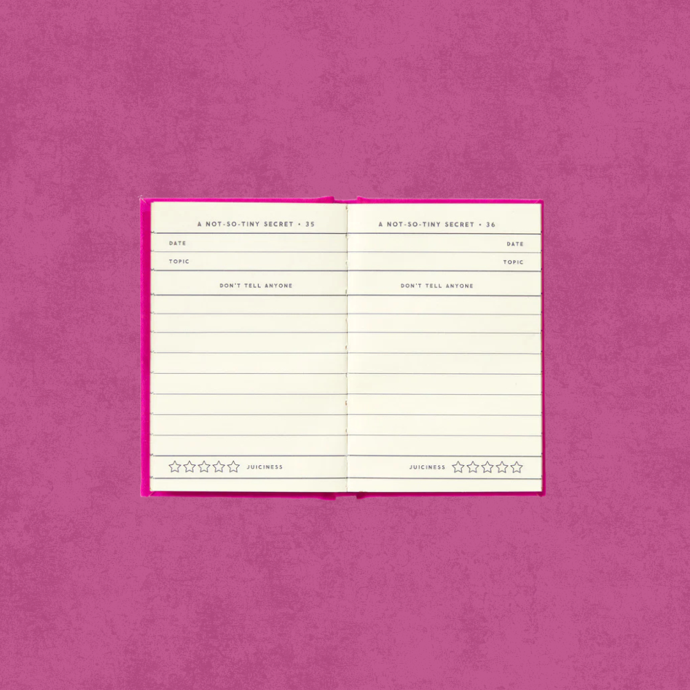 Tiny Diary For Not-So-Tiny Secrets