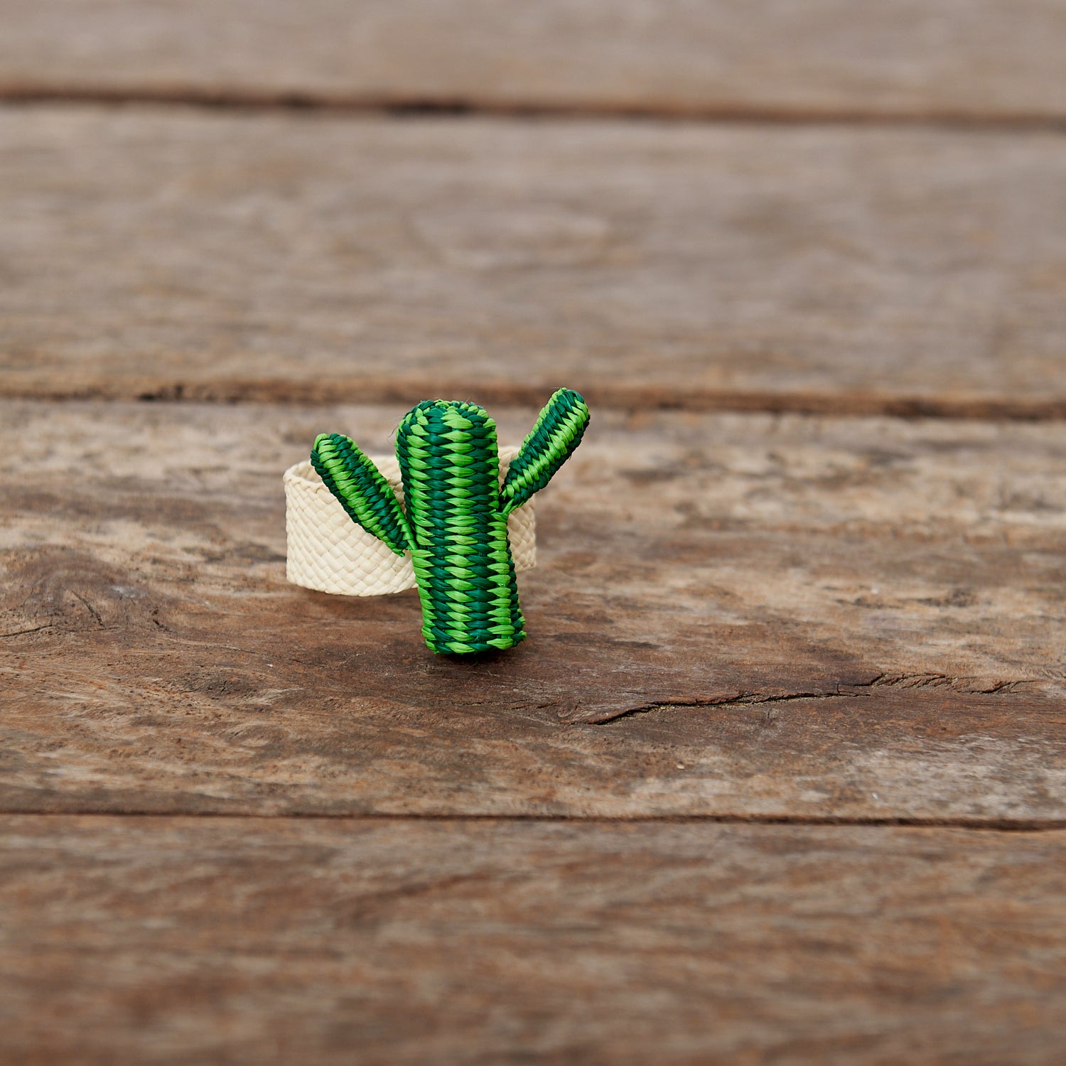 Cactus Napkin Holder