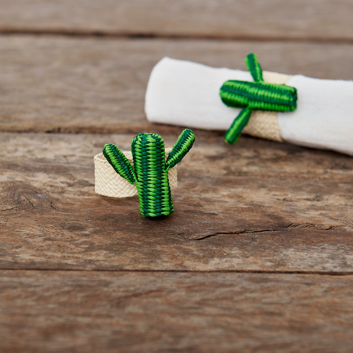 Cactus Napkin Holder