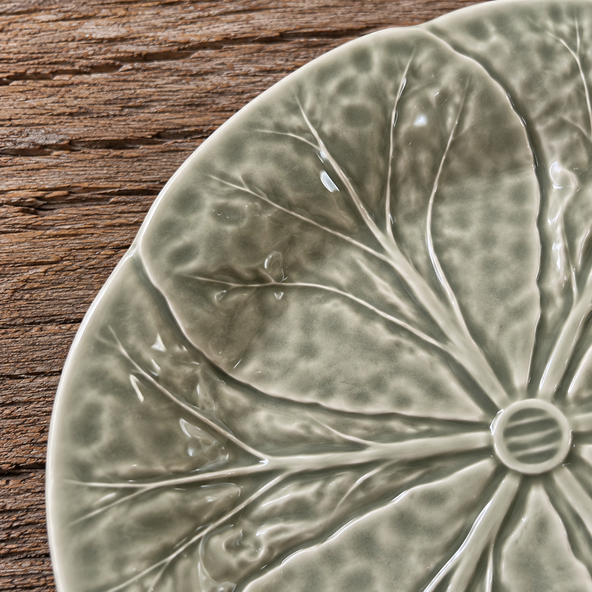 Flat Plate Green Cabbage Leaf Olive