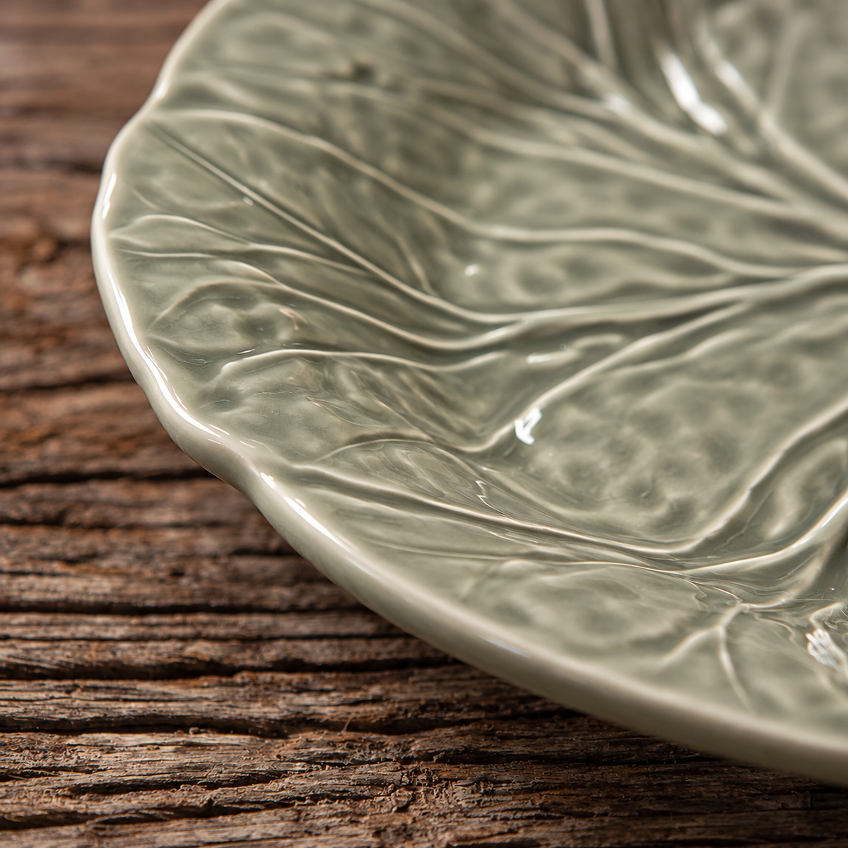 Flat Plate Green Cabbage Leaf Olive