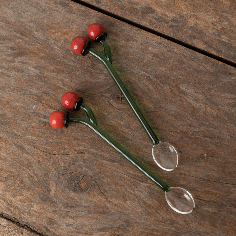 Set of 2 Borosilicate Tomato Spoons