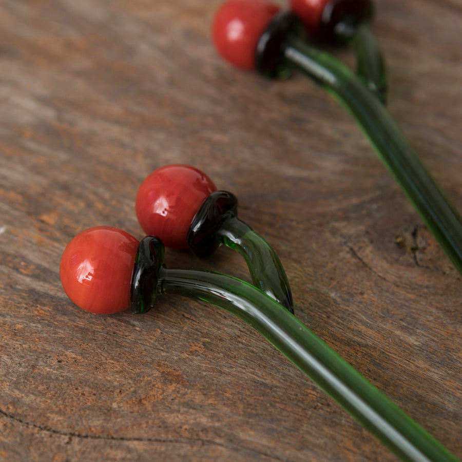 Set of 2 Borosilicate Tomato Spoons