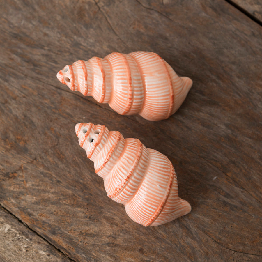 Set of salt and pepper shakers with shells