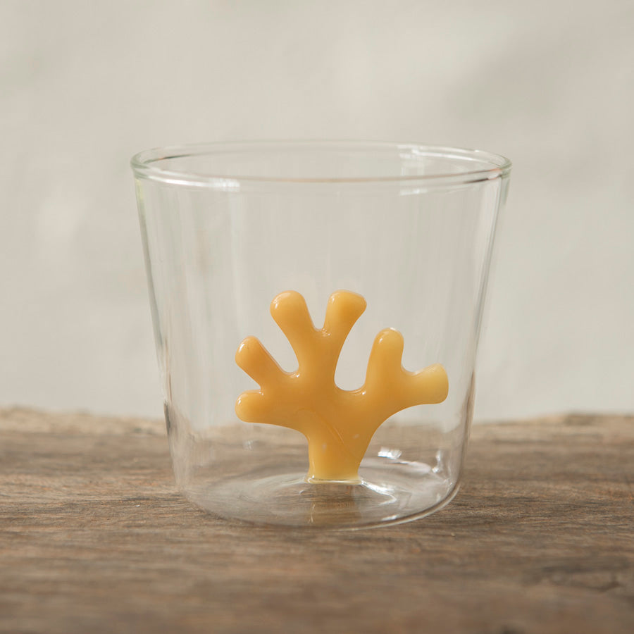 x6 Borosilicate Coral Glasses